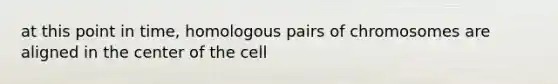 at this point in time, homologous pairs of chromosomes are aligned in the center of the cell