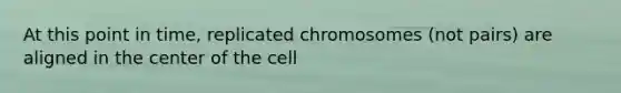 At this point in time, replicated chromosomes (not pairs) are aligned in the center of the cell