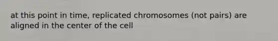 at this point in time, replicated chromosomes (not pairs) are aligned in the center of the cell