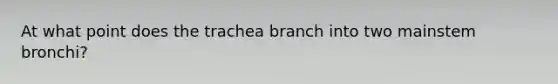 At what point does the trachea branch into two mainstem bronchi?