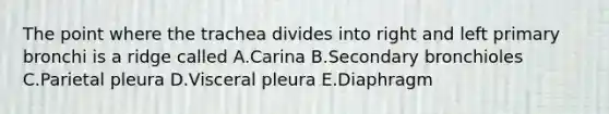 The point where the trachea divides into right and left primary bronchi is a ridge called A.Carina B.Secondary bronchioles C.Parietal pleura D.Visceral pleura E.Diaphragm