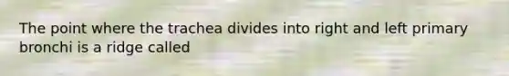 The point where the trachea divides into right and left primary bronchi is a ridge called