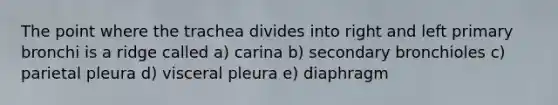 The point where the trachea divides into right and left primary bronchi is a ridge called a) carina b) secondary bronchioles c) parietal pleura d) visceral pleura e) diaphragm