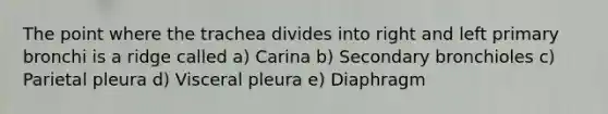 The point where the trachea divides into right and left primary bronchi is a ridge called a) Carina b) Secondary bronchioles c) Parietal pleura d) Visceral pleura e) Diaphragm