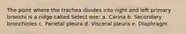 The point where the trachea divides into right and left primary bronchi is a ridge called Select one: a. Carina b. Secondary bronchioles c. Parietal pleura d. Visceral pleura e. Diaphragm