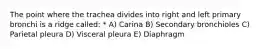 The point where the trachea divides into right and left primary bronchi is a ridge called: * A) Carina B) Secondary bronchioles C) Parietal pleura D) Visceral pleura E) Diaphragm