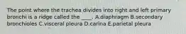 The point where the trachea divides into right and left primary bronchi is a ridge called the ____. A.diaphragm B.secondary bronchioles C.visceral pleura D.carina E.parietal pleura