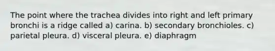 The point where the trachea divides into right and left primary bronchi is a ridge called a) carina. b) secondary bronchioles. c) parietal pleura. d) visceral pleura. e) diaphragm