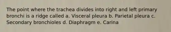 The point where the trachea divides into right and left primary bronchi is a ridge called a. Visceral pleura b. Parietal pleura c. Secondary bronchioles d. Diaphragm e. Carina