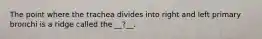 The point where the trachea divides into right and left primary bronchi is a ridge called the __?__.