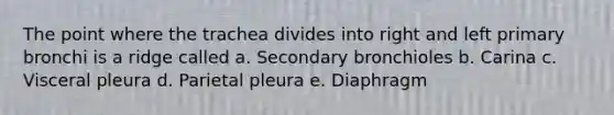 The point where the trachea divides into right and left primary bronchi is a ridge called a. Secondary bronchioles b. Carina c. Visceral pleura d. Parietal pleura e. Diaphragm