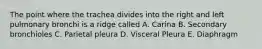 The point where the trachea divides into the right and left pulmonary bronchi is a ridge called A. Carina B. Secondary bronchioles C. Parietal pleura D. Visceral Pleura E. Diaphragm
