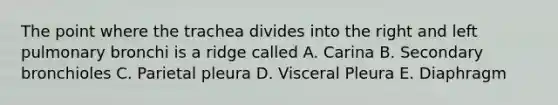 The point where the trachea divides into the right and left pulmonary bronchi is a ridge called A. Carina B. Secondary bronchioles C. Parietal pleura D. Visceral Pleura E. Diaphragm