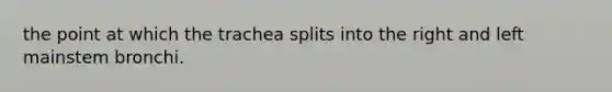 the point at which the trachea splits into the right and left mainstem bronchi.
