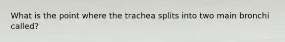 What is the point where the trachea splits into two main bronchi called?