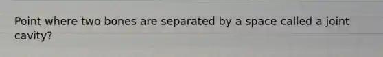 Point where two bones are separated by a space called a joint cavity?