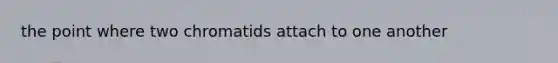 the point where two chromatids attach to one another