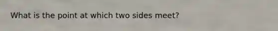 What is the point at which two sides meet?