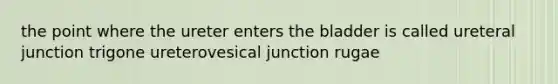 the point where the ureter enters the bladder is called ureteral junction trigone ureterovesical junction rugae