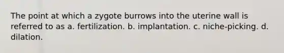 The point at which a zygote burrows into the uterine wall is referred to as a. fertilization. b. implantation. c. niche-picking. d. dilation.