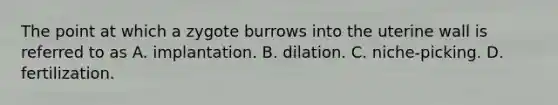 The point at which a zygote burrows into the uterine wall is referred to as​ A. ​implantation. ​B. dilation. ​C. niche-picking. ​D. fertilization.