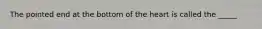 The pointed end at the bottom of the heart is called the​ _____