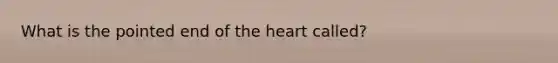 What is the pointed end of the heart called?