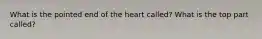 What is the pointed end of the heart called? What is the top part called?