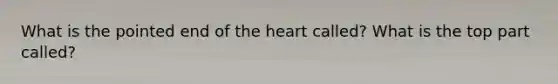 What is the pointed end of the heart called? What is the top part called?