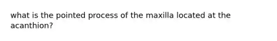 what is the pointed process of the maxilla located at the acanthion?