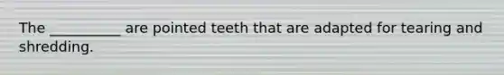 The __________ are pointed teeth that are adapted for tearing and shredding.