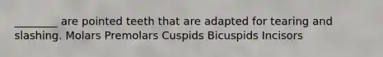 ________ are pointed teeth that are adapted for tearing and slashing. Molars Premolars Cuspids Bicuspids Incisors