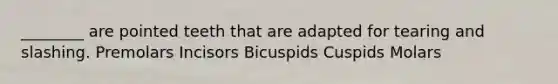 ________ are pointed teeth that are adapted for tearing and slashing. Premolars Incisors Bicuspids Cuspids Molars