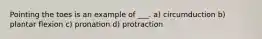 Pointing the toes is an example of ___. a) circumduction b) plantar flexion c) pronation d) protraction