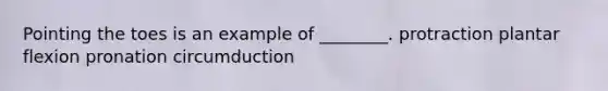 Pointing the toes is an example of ________. protraction plantar flexion pronation circumduction