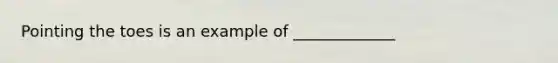 Pointing the toes is an example of _____________