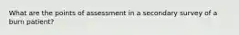 What are the points of assessment in a secondary survey of a burn patient?