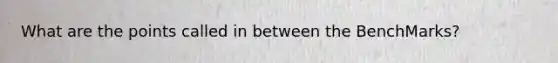 What are the points called in between the BenchMarks?