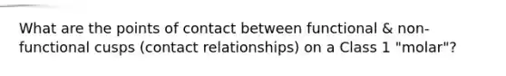 What are the points of contact between functional & non-functional cusps (contact relationships) on a Class 1 "molar"?