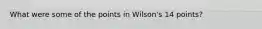 What were some of the points in Wilson's 14 points?