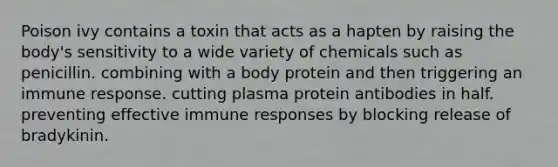 Poison ivy contains a toxin that acts as a hapten by raising the body's sensitivity to a wide variety of chemicals such as penicillin. combining with a body protein and then triggering an immune response. cutting plasma protein antibodies in half. preventing effective immune responses by blocking release of bradykinin.