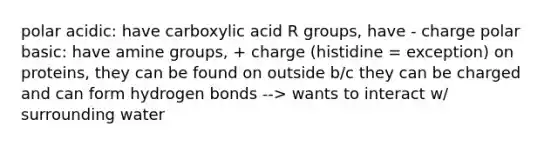 polar acidic: have carboxylic acid R groups, have - charge polar basic: have amine groups, + charge (histidine = exception) on proteins, they can be found on outside b/c they can be charged and can form hydrogen bonds --> wants to interact w/ surrounding water