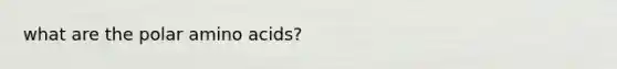what are the polar amino acids?