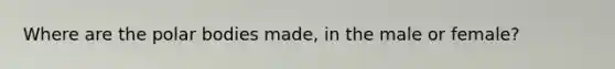 Where are the polar bodies made, in the male or female?