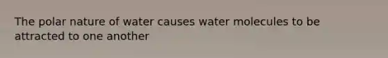 The polar nature of water causes water molecules to be attracted to one another