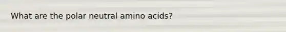 What are the polar neutral amino acids?