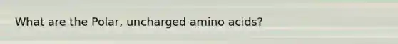 What are the Polar, uncharged amino acids?