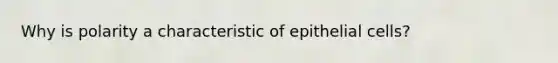 Why is polarity a characteristic of epithelial cells?