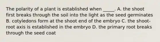 The polarity of a plant is established when _____. A. the shoot first breaks through the soil into the light as the seed germinates B. cotyledons form at the shoot end of the embryo C. the shoot-root axis is established in the embryo D. the primary root breaks through the seed coat