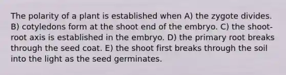 The polarity of a plant is established when A) the zygote divides. B) cotyledons form at the shoot end of the embryo. C) the shoot-root axis is established in the embryo. D) the primary root breaks through the seed coat. E) the shoot first breaks through the soil into the light as the seed germinates.